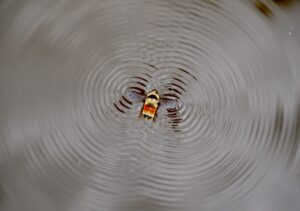 Binaural